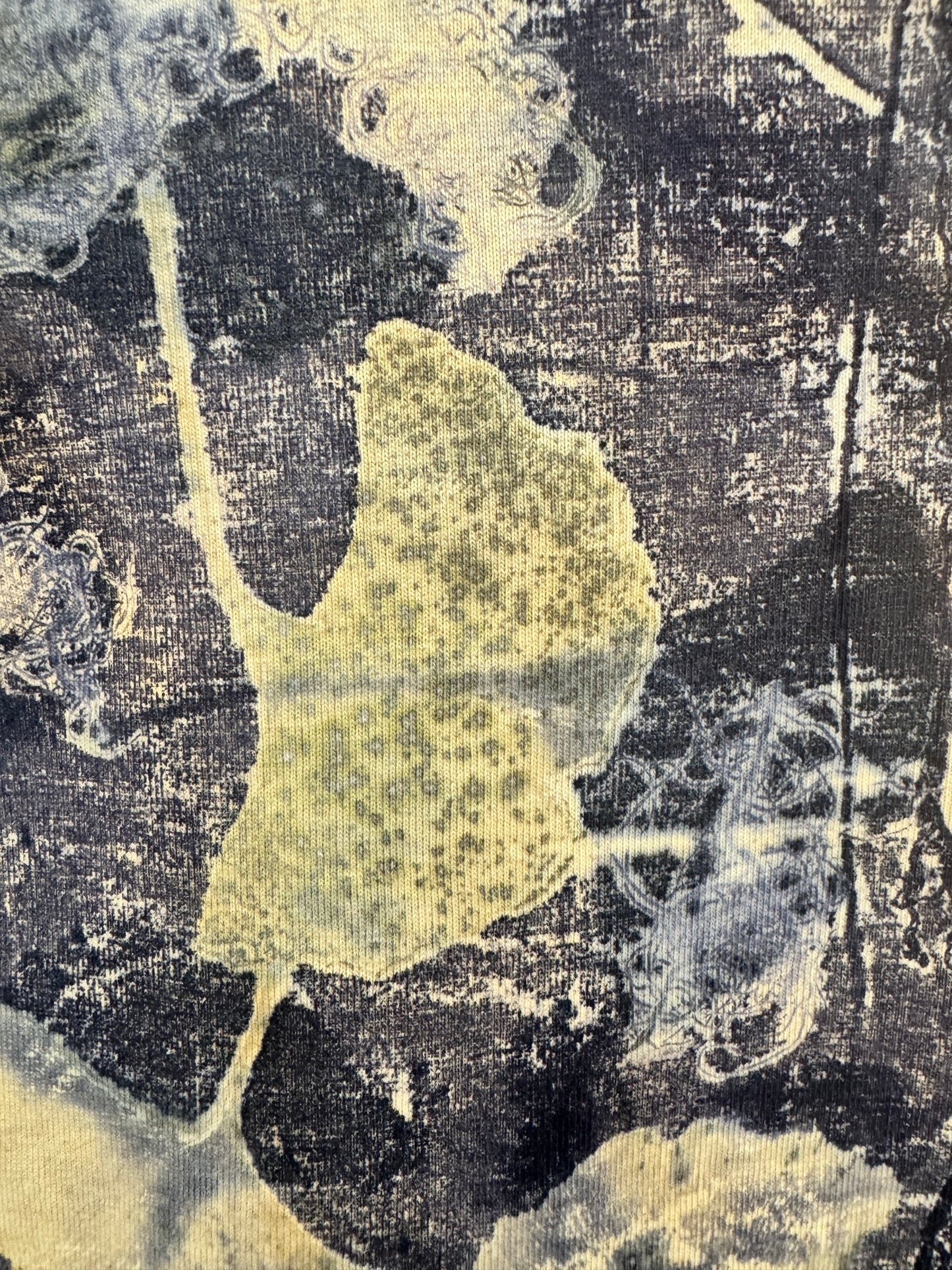 Ginkgo Usnea Logwood | Eco-printed| 2T | Organic Cotton