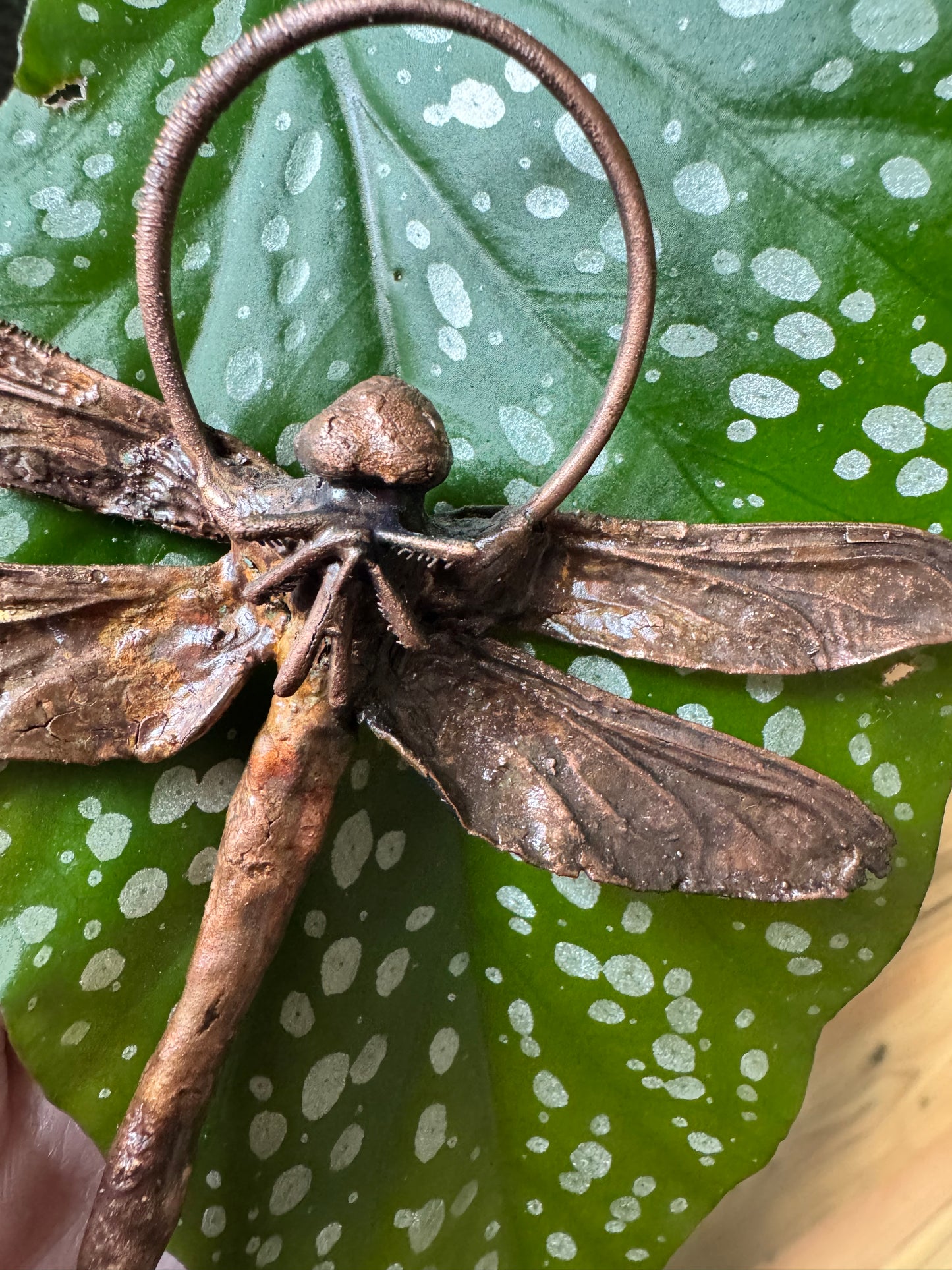 Real Dragonfly | Wall Hanging | Moonstone, Sugilite & Watermelon Tourmaline| Copper Electroformed