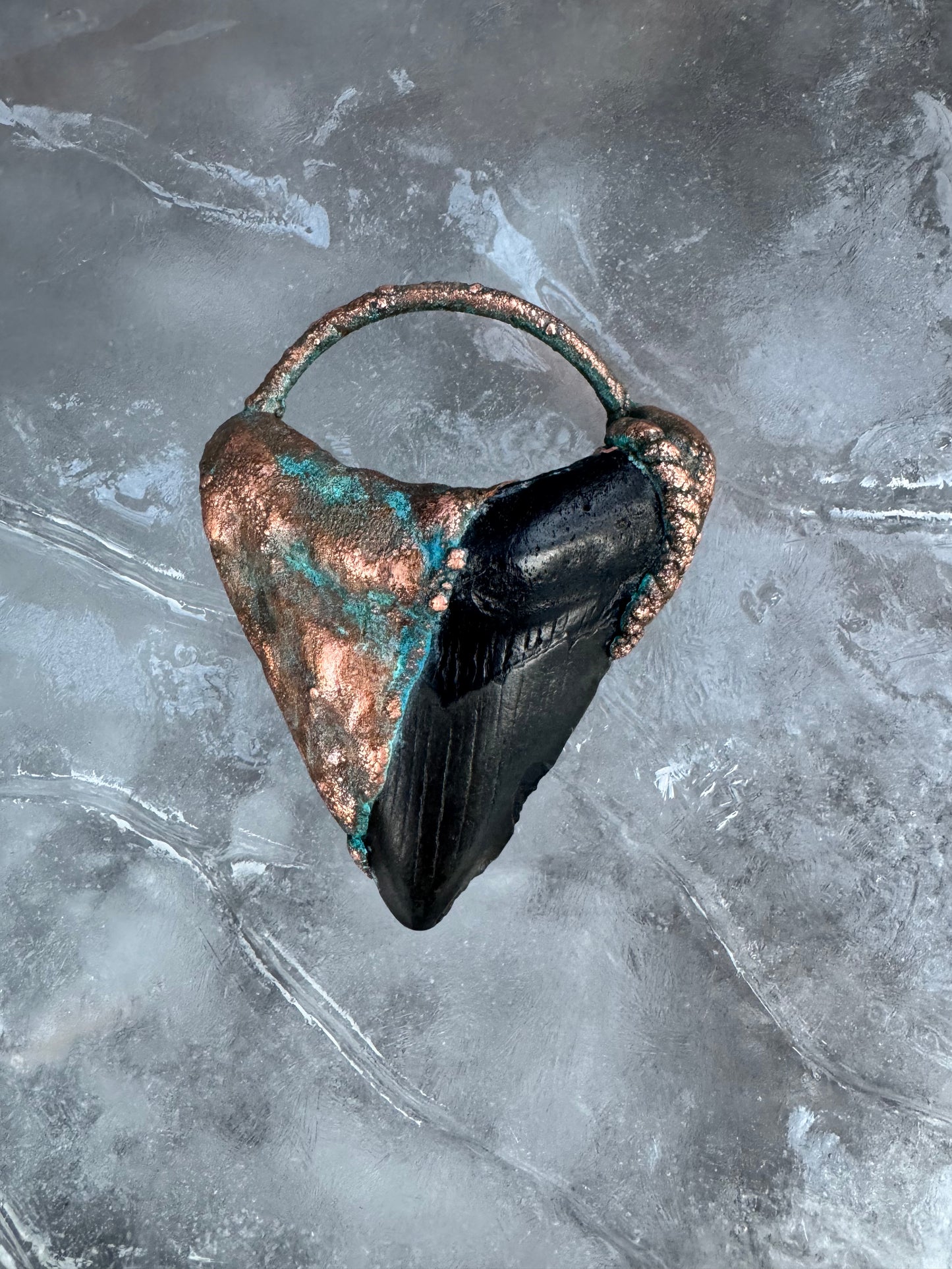 Megalodon Shark Tooth |South Carolina Fossil | Electroformed Pendant