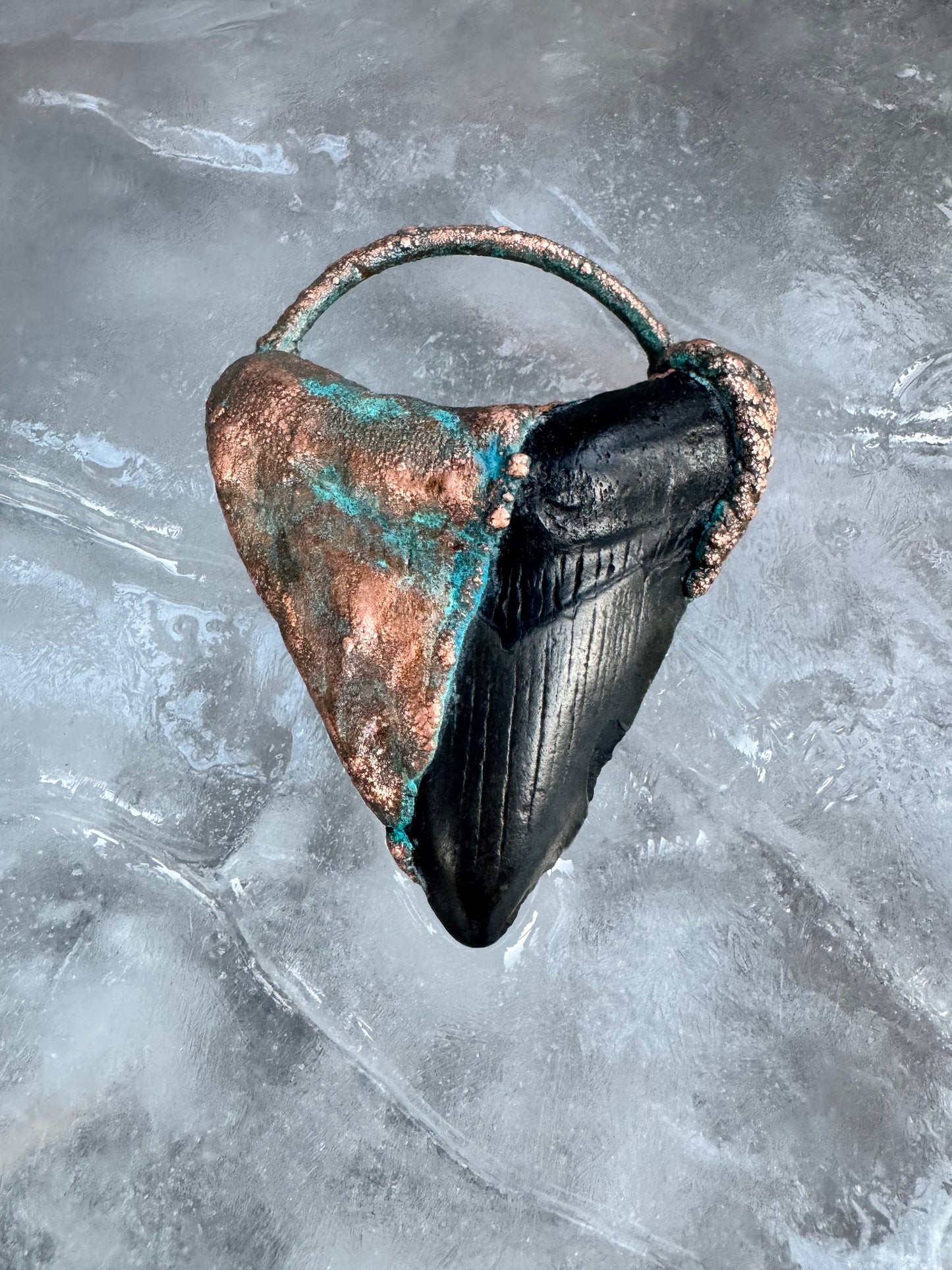 Megalodon Shark Tooth |South Carolina Fossil | Electroformed Pendant