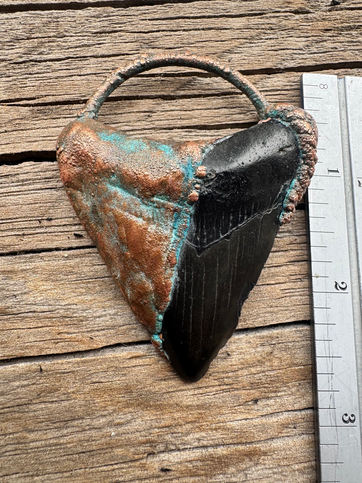 Megalodon Shark Tooth |South Carolina Fossil | Electroformed Pendant