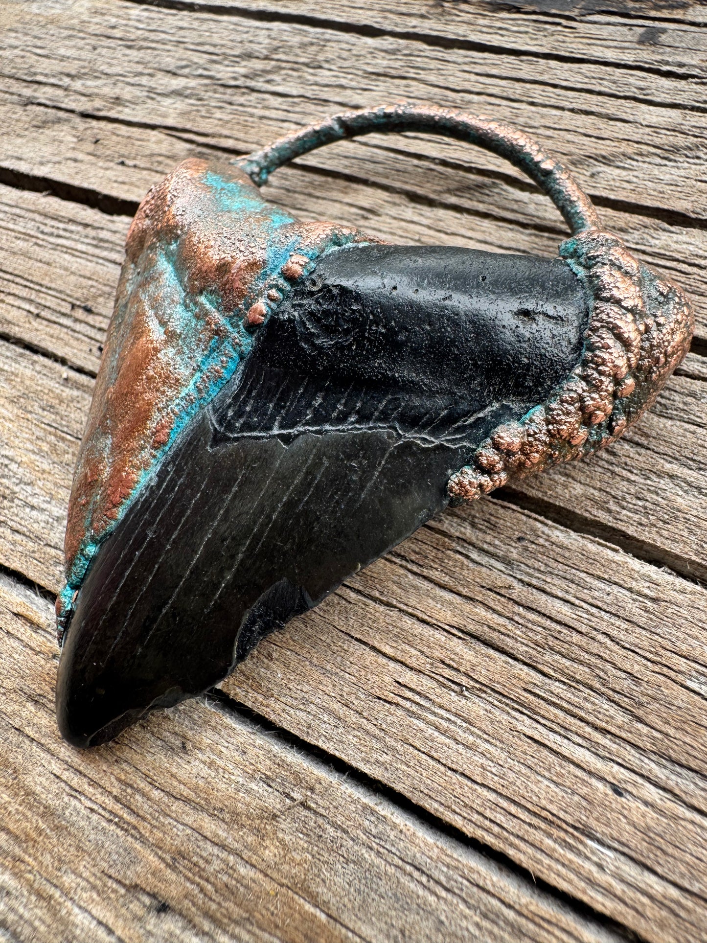 Megalodon Shark Tooth |South Carolina Fossil | Electroformed Pendant